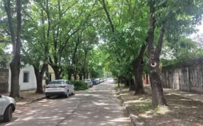 En Villa Vatteone, los ladrones apuntan ahora contra las baterías de autos de jubilados que estacionan en un centro médico