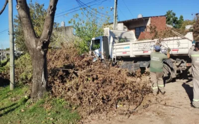 Higiene urbana y mantenimiento de espacios públicos