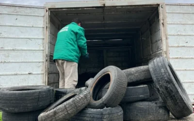 Tareas contra el dengue