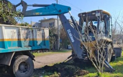 Higiene urbana y mantenimiento de espacios públicos