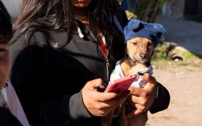 Respuesta del Municipio a publicación de La Colmena: “Proteccionistas locales marcharán en reclamo de castraciones masivas de perros y gatos en Florencio Varela