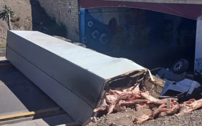 Un camión con carne volcó en Mendoza y la gente intentó llevarse las medias reces