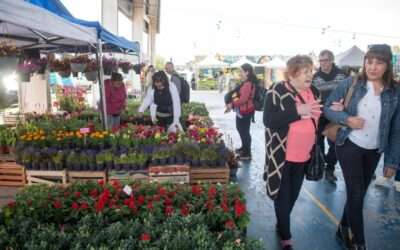 Con la llegada de la primavera viene nueva edición de la Fiesta de la Flor