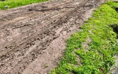 San Rudecindo: Vecinos claman por asfaltado de una calle de su barrio