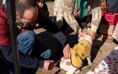 Atención veterinaria gratuita en Curva de Chávez Norte