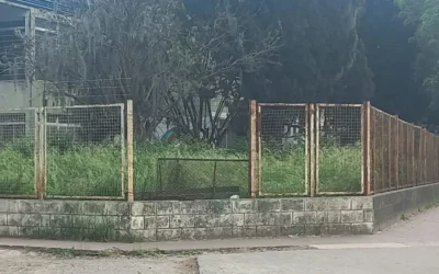 Altos pastizales tapan ventanas de las aulas en la Secundaria Nº 10 “Lola Mora”
