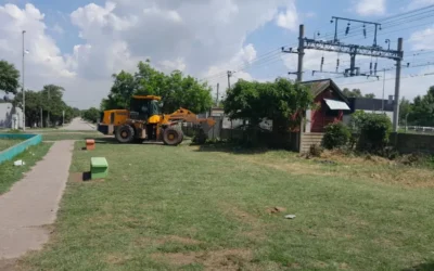 Respuesta oficial a publicaciones de La Colmena: Tareas de limpieza en la Estacion de Bosques
