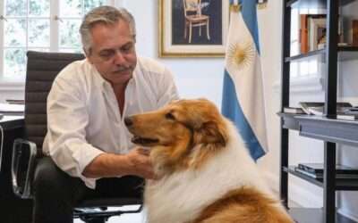 Murió Dylan, el perro de Alberto Fernández