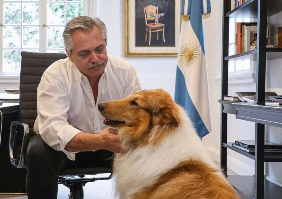 Murió Dylan, el perro de Alberto Fernández