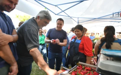 La Fiesta de la Frutilla en Florencio Varela con gran éxito