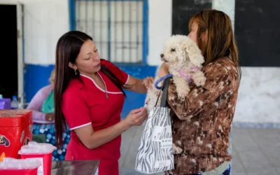 Servicios veterinarios gratuitos en La Colorada Este