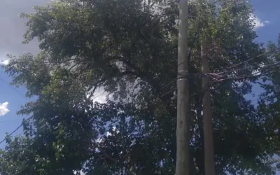 Carta de lectores: Reclamo vecinal por luminaria vandalizada en San Rudecindo