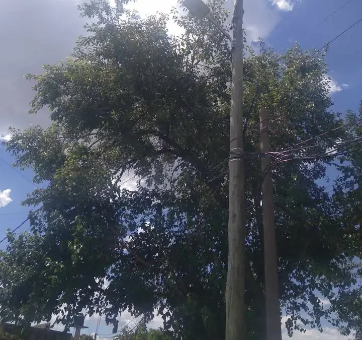 Carta de lectores: Reclamo vecinal por luminaria vandalizada en San Rudecindo