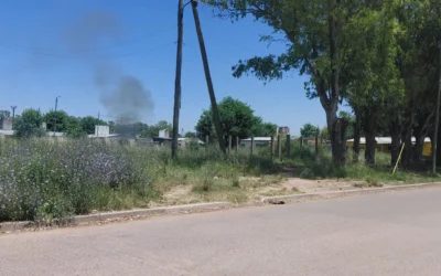 Santa Rosa: Vecinos reclaman por un predio con altos pastizales que genera inseguridad