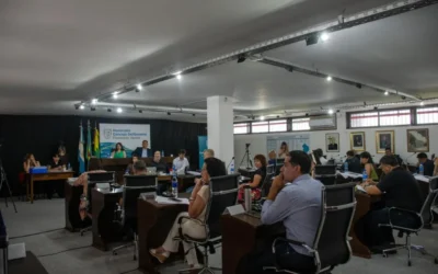 Concejo Deliberante: Mañana debaten la crisis en el transporte en Florencio Varela