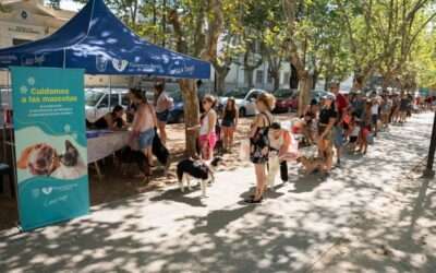 Gran jornada jornada de atención veterinaria en Florencio Varela