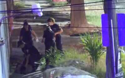 Detuvieron a un individuo que robó una cámara de seguridad en el barrio Luján