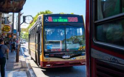 Transporte público: nueva normalidad con las flamantes líneas comunales