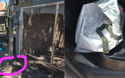 Un recién nacido fue encontrado en una bolsa, en la vía pública: la madre está detenida