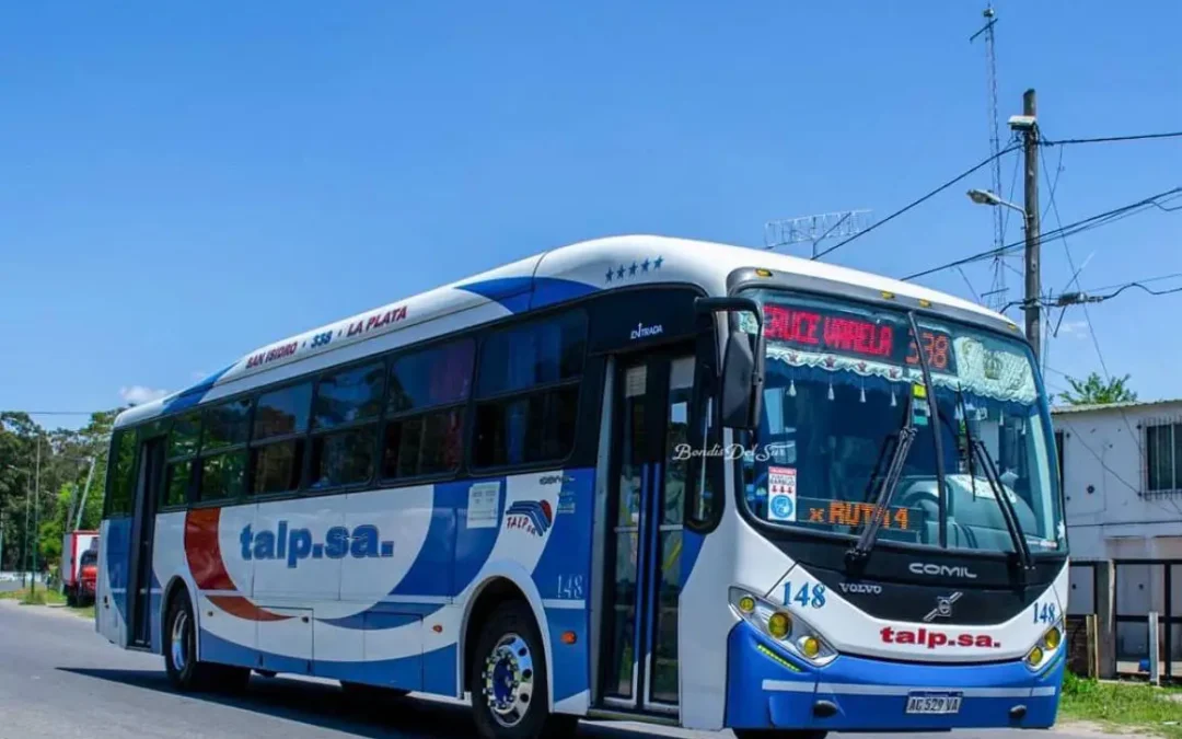 La Provincia prorrogó la concesión a la Línea 338 y TAPL seguirá operando hasta el 2033