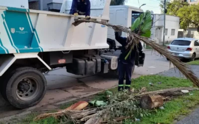 Mantenimiento integral en barrios varelenses
