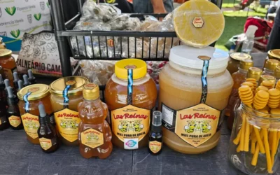 “Apícola Las Reinas”, de emprendimiento varelense a producción regional