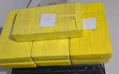 Decomisaron siete kilos de cocaína en un operativo en la autopista Buenos Aires–La Plata