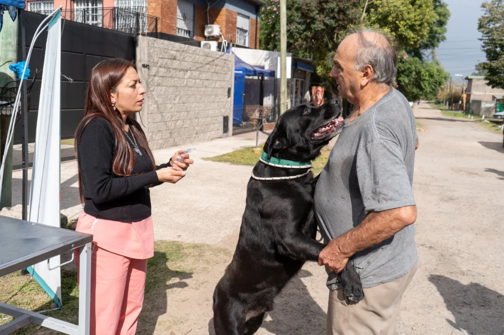 jornada animales