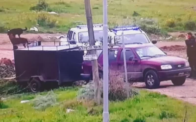 Identificado cuando arrojaba basura a la vía pública en Villa San Luis
