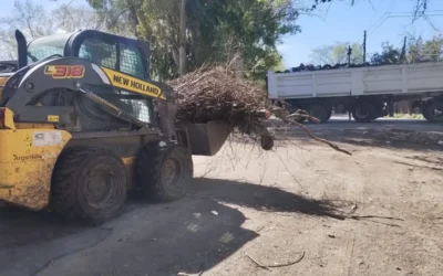 Operativos de limpieza en Bosques e Ingeniero Allan