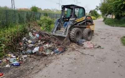 Respuesta oficial del Municipio por el minibasural en Dante Ardigó: realizaron limpieza en 511 y Los Tilos
