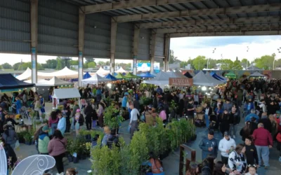 Cerró la Fiesta de la Flor en Florencio Varela con buena concurrencia y ventas destacadas de los productores locales