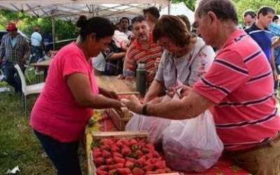 Vuelve la Fiesta de la Frutilla: una tradición que endulza a Florencio Varela