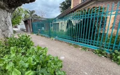 ABANDONO TOTAL: La casa de Adrianita Taddey, la Santita de los Milagros de Varela, es patrimonio municipal y está abandonada y a merced de usurpadores