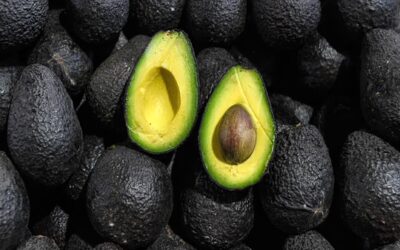 Tragedia en Quilmes: murió un bebé de 12 días tras caerle una palta en la cabeza